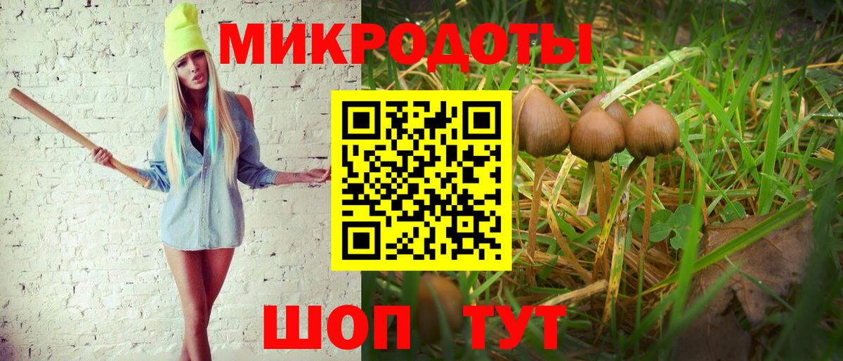 Куйбышев  что такое   Галлюциногенные грибы прущие грибы  Вход с VPN  Галлюциногенные грибы Psilocybine cubensis 